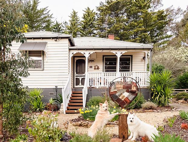 Dog Friendly Wine Tours Pet Friendly Winery Accommodation 2025