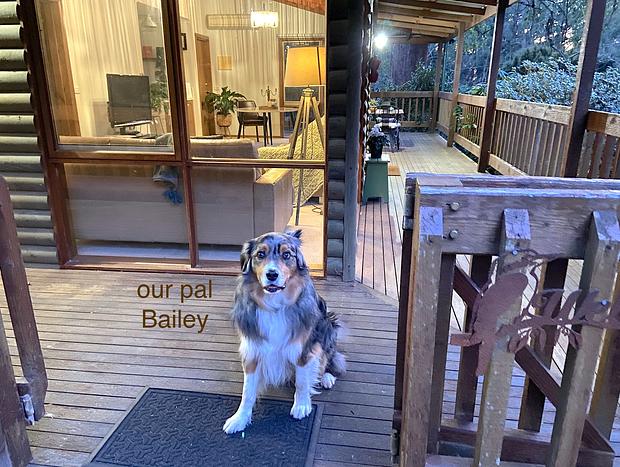 Photo 15 for Romantic Botanica Retreat – A Peaceful Hideaway for Two