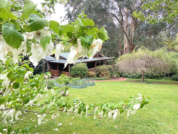 Photo 13 for Romantic Botanica Retreat – A Peaceful Hideaway for Two