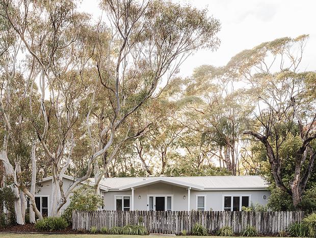 Photo 6 for Scribbly Gums Berrara