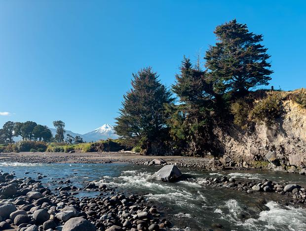 Photo 4 for Hangatahua