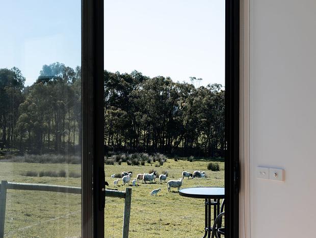 Photo 23 for Tiny Stevie Dog Friendly - Apollo Bay Tiny Stays - Farm Stay