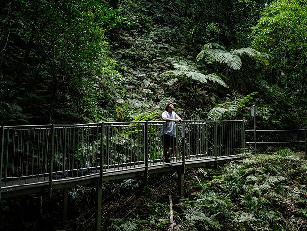 Photo 28 for A Blissful Escape at Golden Emperor - Cicada Luxury Camping