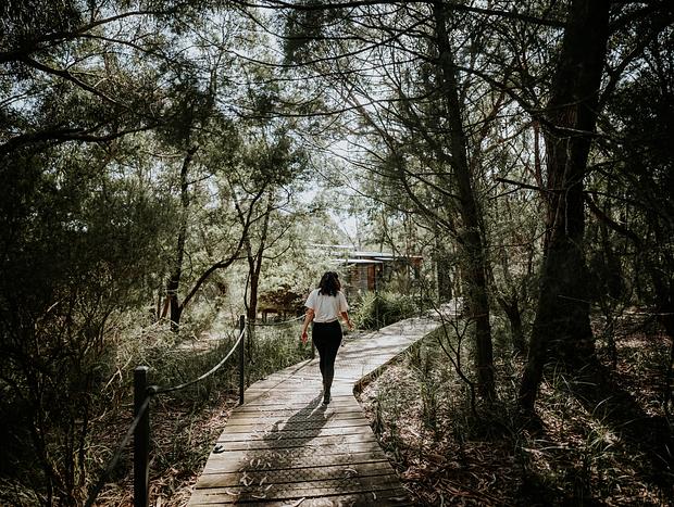 Photo 18 for Great Mountain Escape in the Grampians