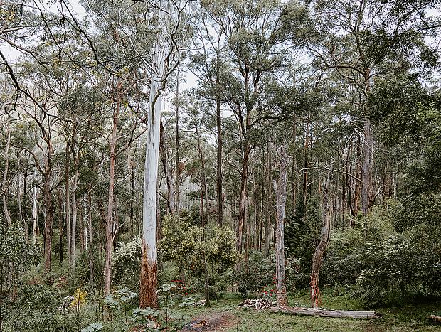 Photo 15 for Stargazing in the 2 Luxe outdoor baths