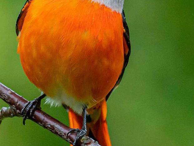 Photo 2 for Lookout and Bird Watching