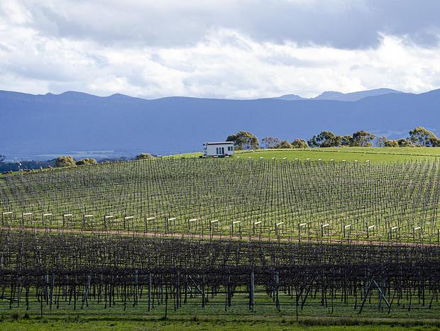 Photo 32 for Hounds Run Vineyard - Tiny House