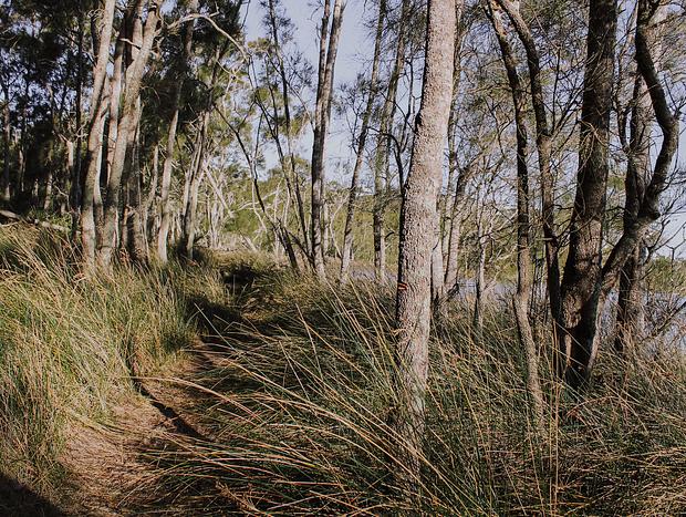 Photo 2 for Nature walking at Sanctuary Point