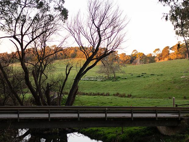 Photo 17 for Forrest Haus retreat - luxury in Otways hinterland