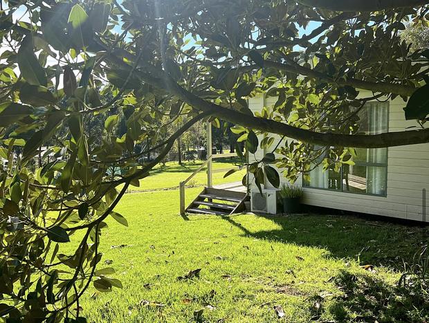 Photo 36 for Ficus Cabin- Under the Morton Bay