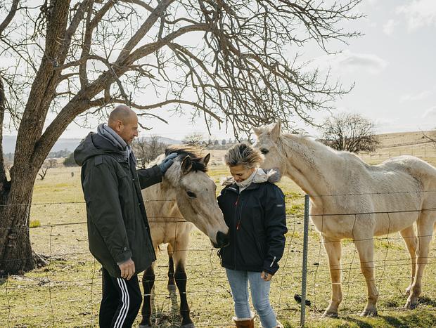 Photo 1 for Hanging with the horses