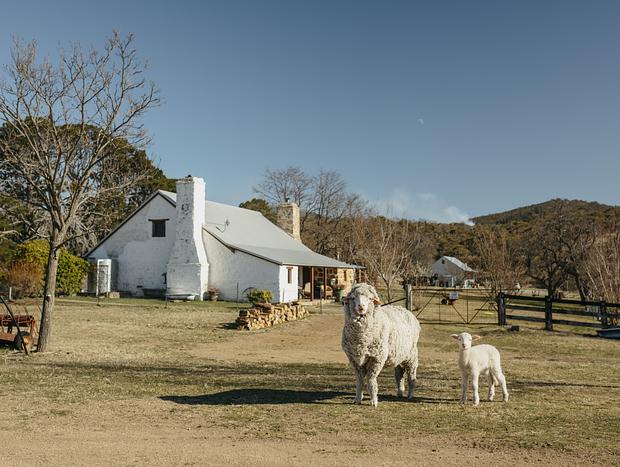 Photo 2 for Hobby Farm Haven