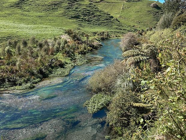 Photo 1 for Putauru Blue Springs