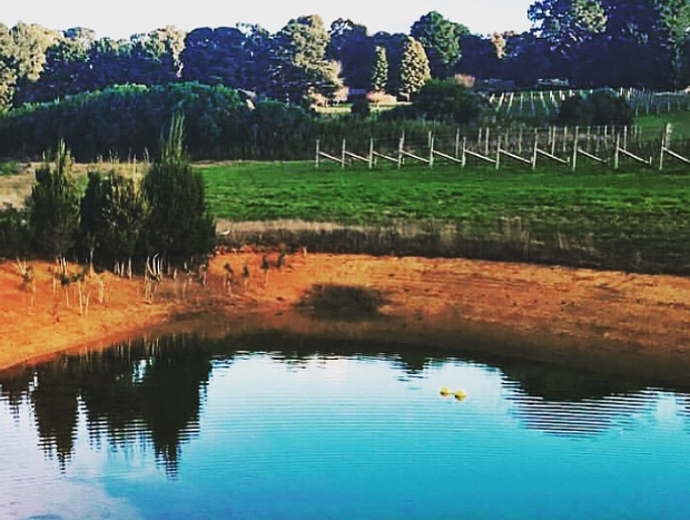 Photo 8 for Tussie Mussie Vineyard - Exclusive Use of Estate