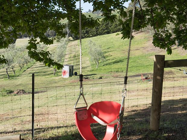 Photo 15 for The Olive Grove - Lake Eildon