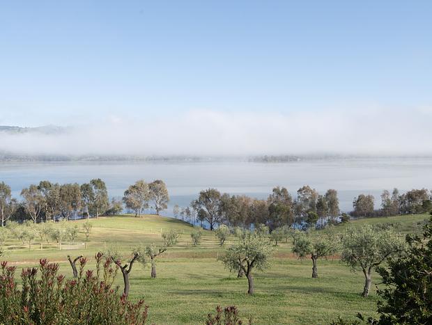 Photo 20 for The Olive Grove - Lake Eildon