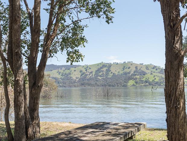 Photo 21 for The Olive Grove - Lake Eildon