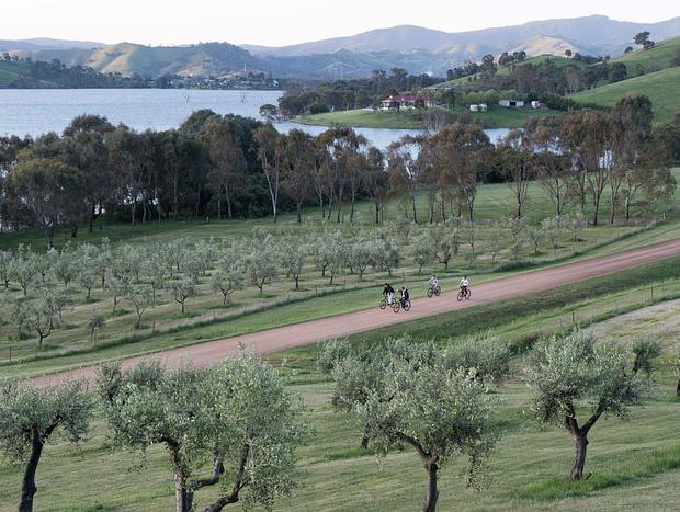 Photo 17 for The Olive Grove - Lake Eildon