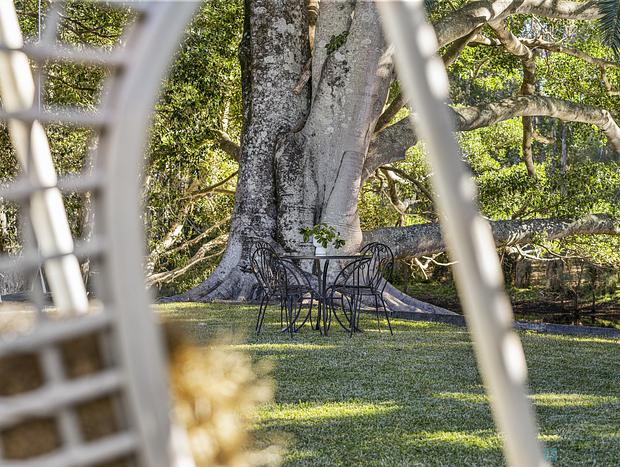 Photo 11 for The Triangle House Cabarita Beach