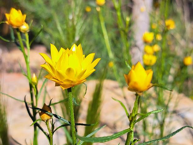 Photo 35 for Green Bush Haven