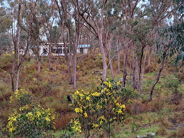 Photo 46 for Green Bush Haven