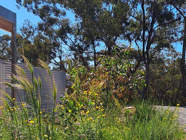 Photo 30 for Green Bush Haven