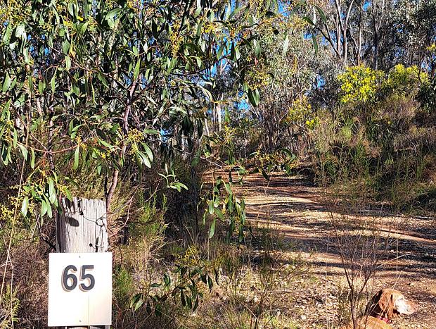 Photo 41 for Green Bush Haven