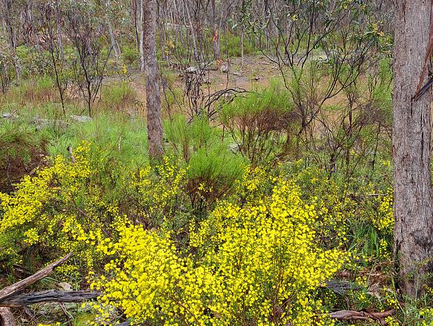 Photo 39 for Green Bush Haven