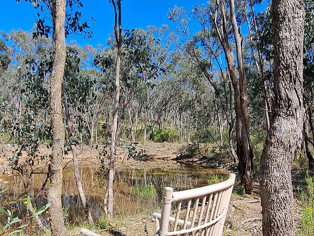 Photo 44 for Green Bush Haven