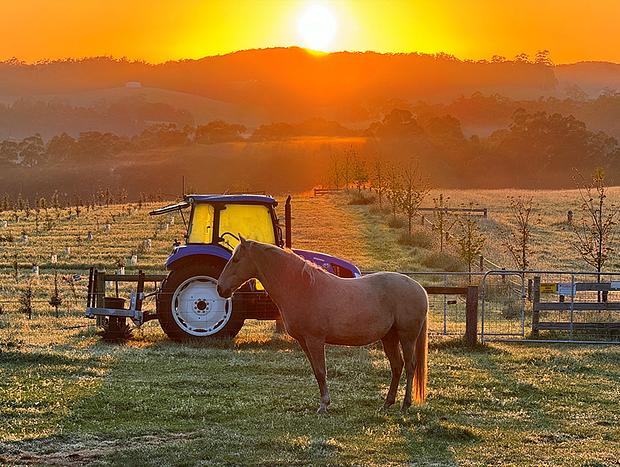 Photo 17 for Luxury Truffle Farm Stay | Winter Escape Near Melbourne