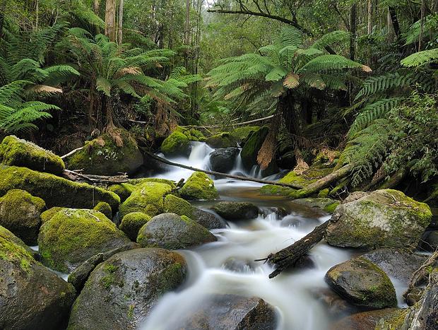 Photo 18 for Luxury Truffle Farm Stay | Winter Escape Near Melbourne