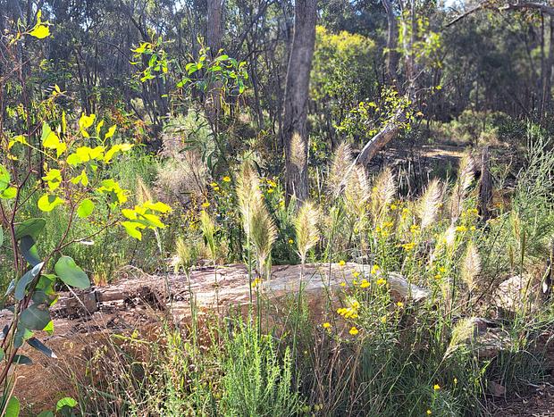 Photo 40 for Green Bush Haven