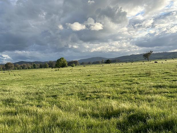 Photo 8 for Blue Wren Cottage, King Valley