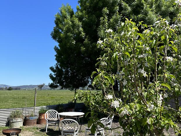 Photo 9 for Blue Wren Cottage, King Valley
