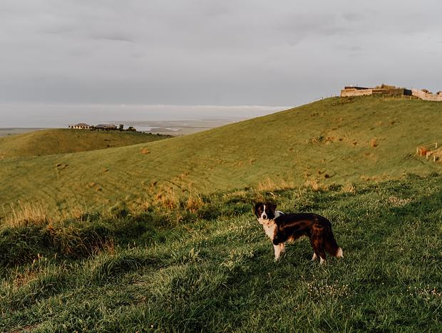 Photo 42 for Atop Hills of Green & Gold