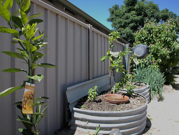 Photo 24 for Blue Wren Cottage, King Valley