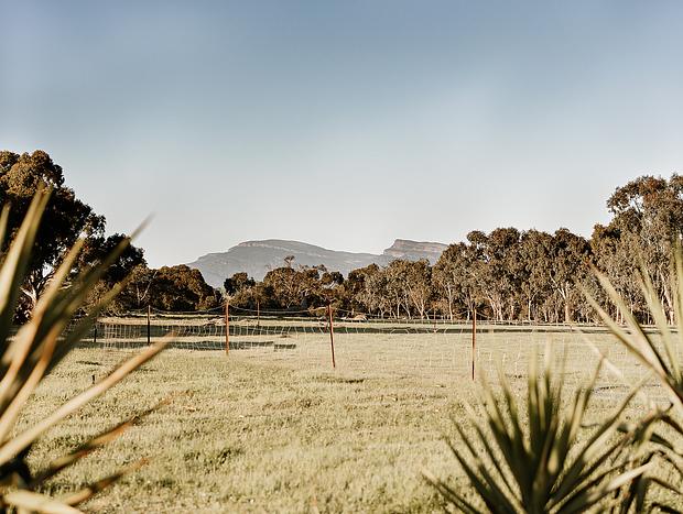 Photo 7 for Seven Rocks - Grampians