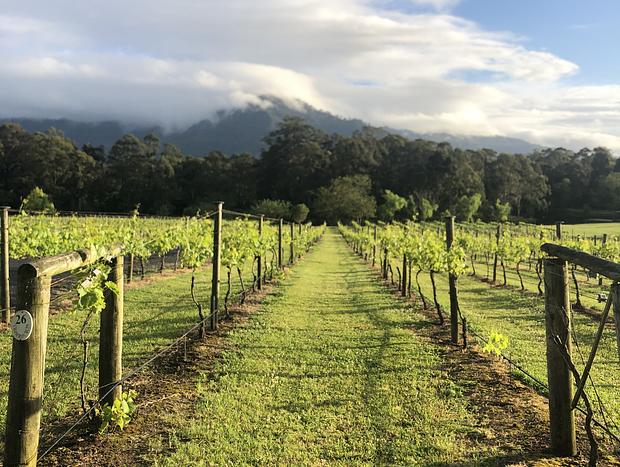 Photo 30 for The Boat House at Cambewarra Estate