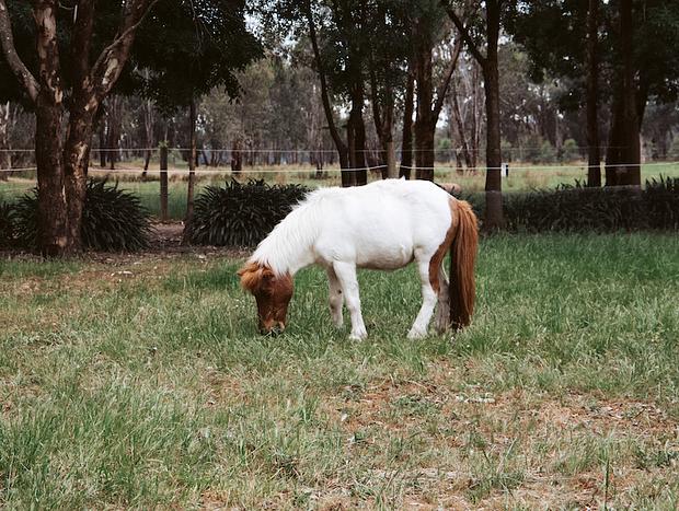 Photo 23 for The Stables Farm Stay