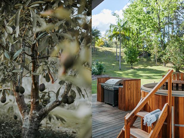 Photo 31 for Mountain Top Lodge Nimbin