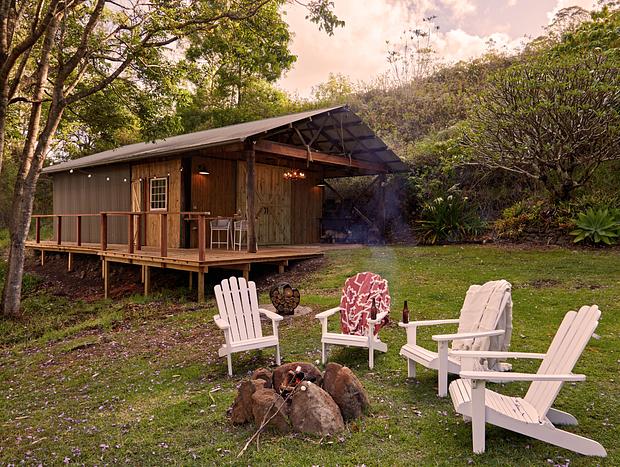 Photo 8 for Mountain Top Lodge Nimbin