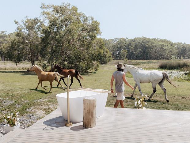 Photo 1 for Horse Whispers