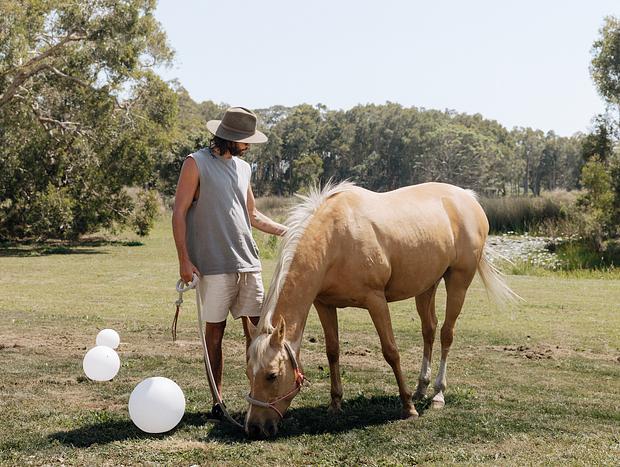 Photo 4 for Horse Whispers