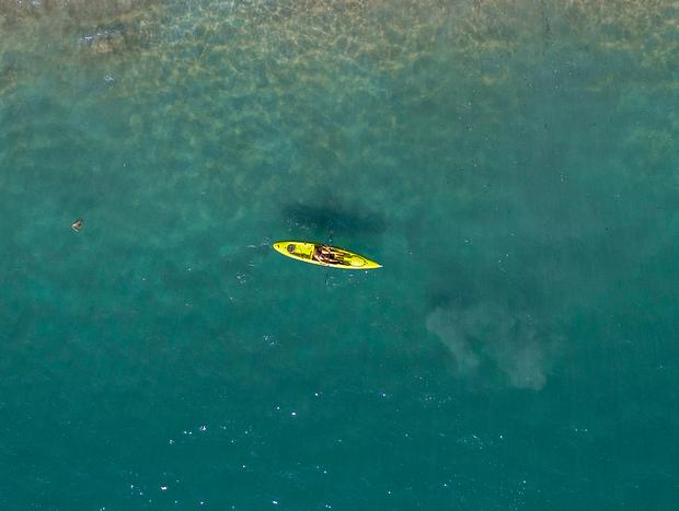 Photo 2 for Kayaking