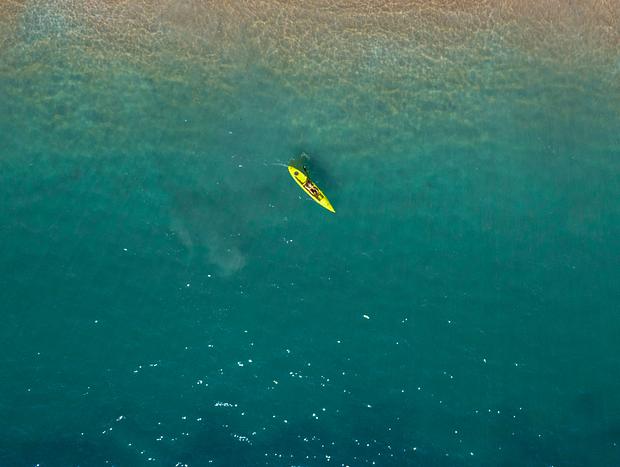 Photo 4 for Kayaking