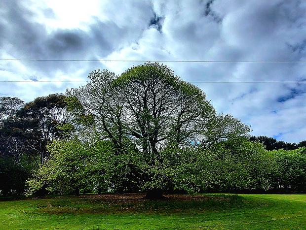 Photo 25 for Hiraeth Farm - 'Strathbogie' Nature Haven (house & camping available)