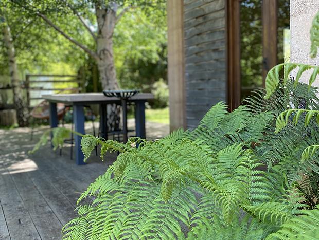 Photo 20 for Rammed earth, off grid country retreat