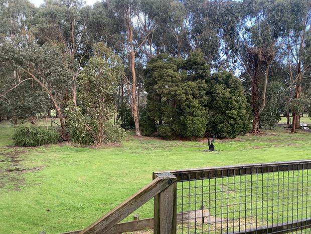Photo 7 for Richos Retreat, Cobden