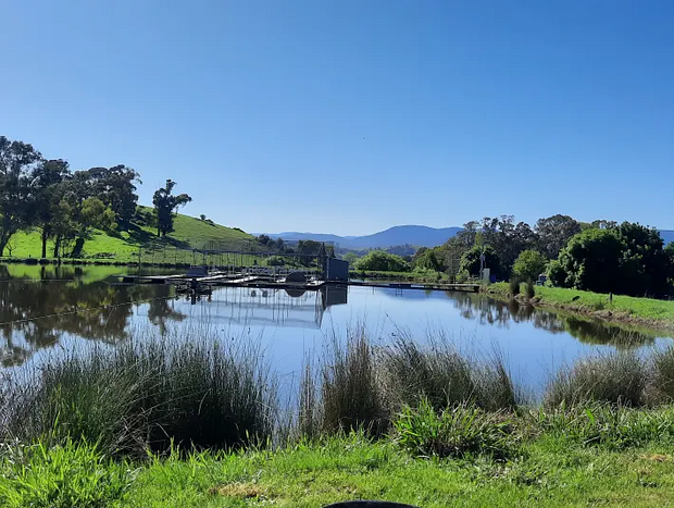 Photo 4 for Glenwaters Farm Stays