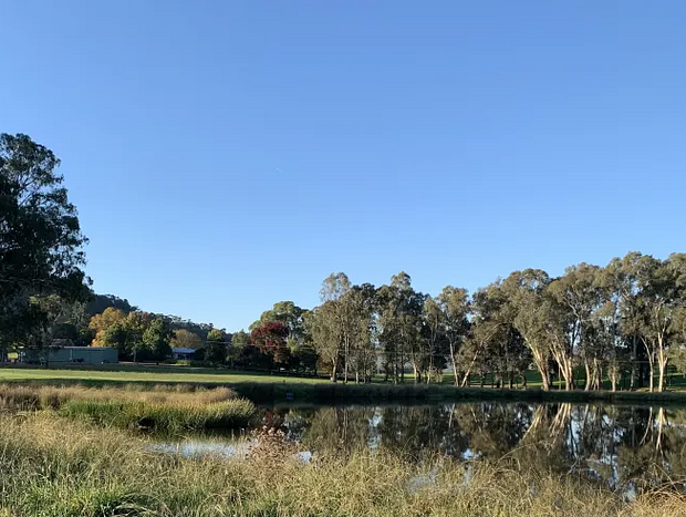 Photo 8 for Glenwaters Farm Stays